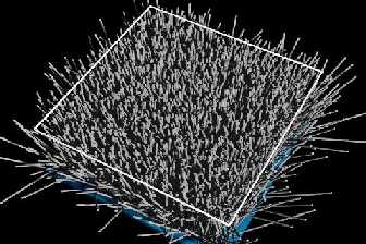 Image of velvet bristles