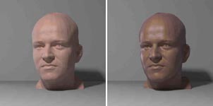 Renderings from measured skin BRDF