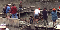 Tiny view of
excavation